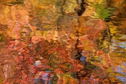 Blue;Great Smoky Mountains National Park;Creek;Stream;Abstractions;Abstract;United States;Gold;Rivers;River;Riverbed;Yellow;Green;Water;waterway;Brook;Orange;Shapes;Fall;Patterns;River Bed;Autumn;Tennessee;Reflection;Textures;Reflections